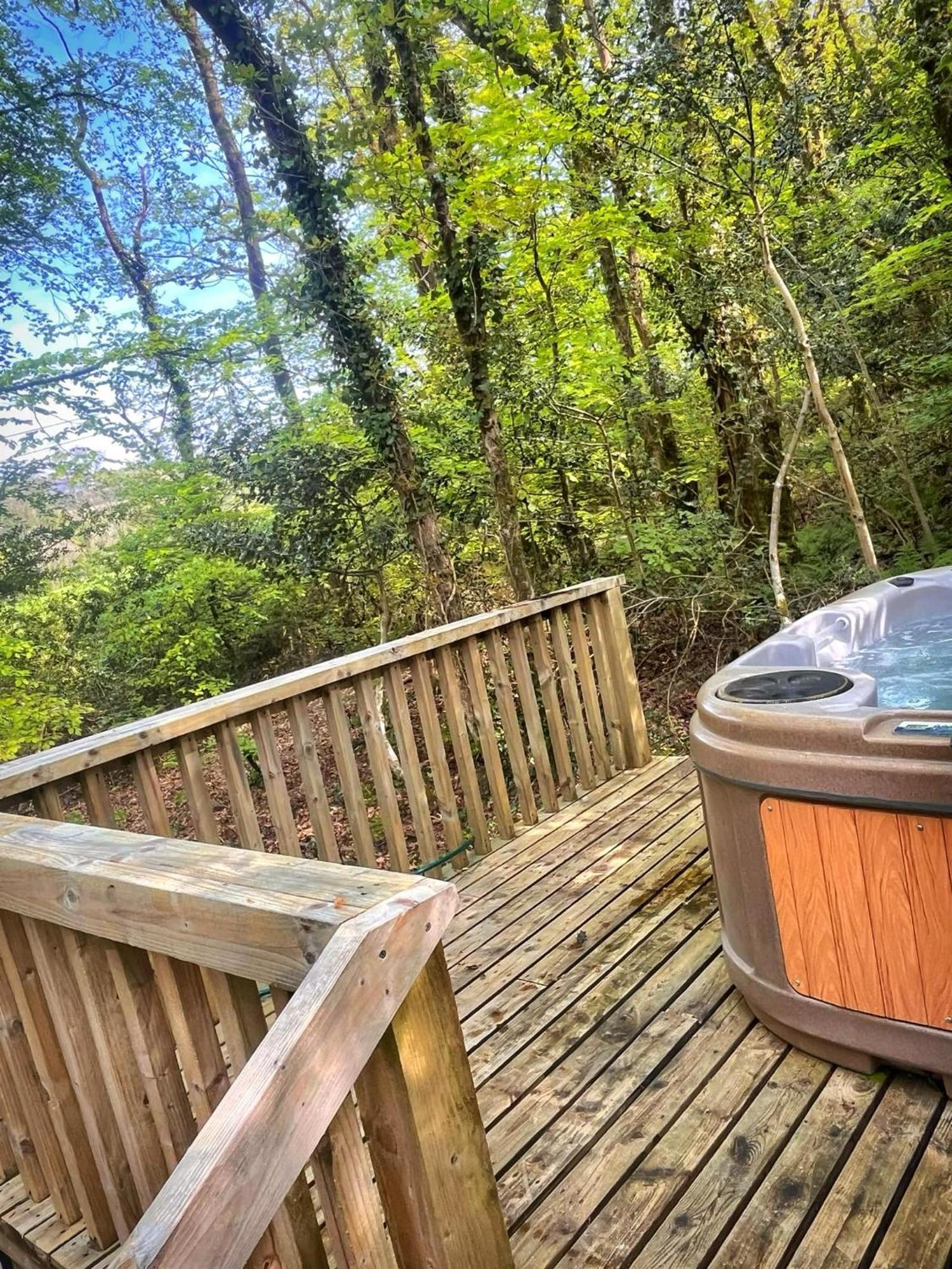 Woodland View -Hot Tub-Tenby-Carmarthen-Сент-Клирс Экстерьер фото